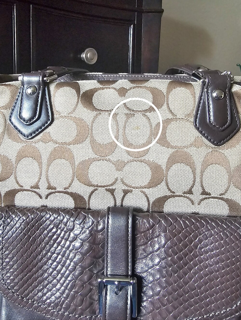 Coach Charlie Signature Python Embossed Tote - Picture 6 of 13